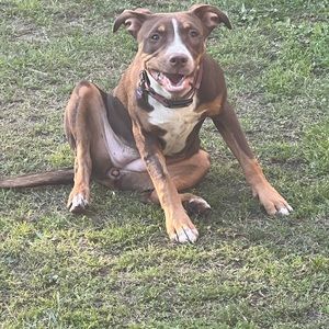 Meet your Posher, Marc